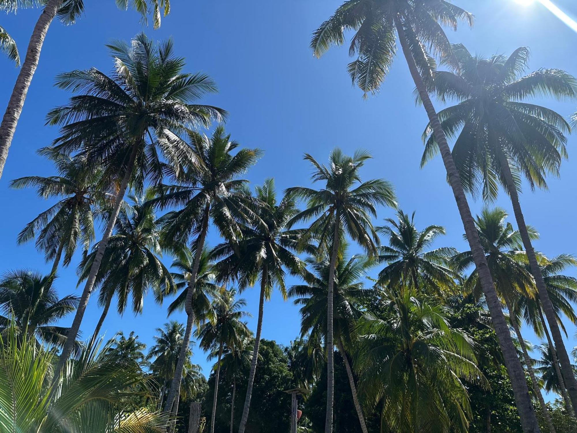 Mooi Park Hotell Sorong Exteriör bild